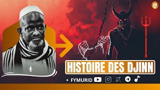 Histoire Des Djinns  Par Serigne Bassirou Mbacke Khelcom [upl. by Sonitnatsnoc]