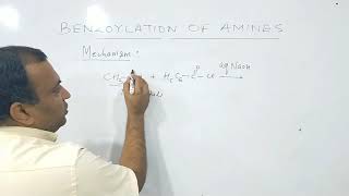 Benzoylation of Amine  Properties of Amines [upl. by Ide]