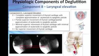 Overview of the 17 Physiologic Components of Swallow Function [upl. by Jaime151]