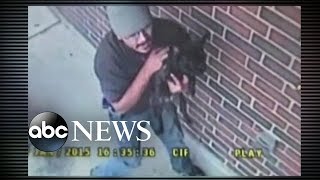 FedEx Driver Allegedly Dognaps a Pair of Puppies [upl. by Joashus141]