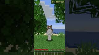 Speedrunning Every Item In Minecraft Day 103222 shorts minecraft speedrun [upl. by Nnateragram]