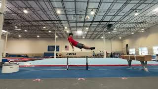 Pommel skills and sequences [upl. by Ardene]