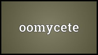 Oomycete Meaning [upl. by Nytsirt]