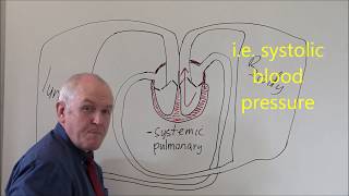 Heart 3 Pulmonary and Systemic circulation [upl. by Vassili821]