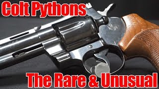 Colt Python Revolvers The Rare and Unusual [upl. by Yrtsed]