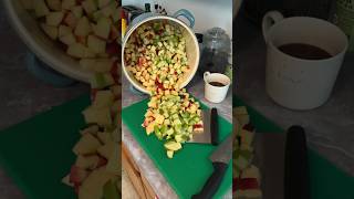 🍎 HOW TO CAN APPLESAUCE 🍏 The BEST applesauce you’ll ever eat homesteading canning prepping [upl. by Gromme]