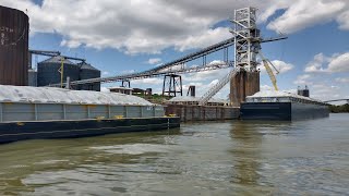 Catfish Behind The Corn Barge Ohio River [upl. by Kalam]