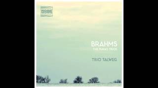 Trio Talweg  Piano Trio No 1 in B Major Op 8 I Allegro con brio [upl. by Sauncho]