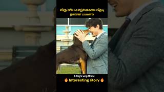 Dogs struggle to live a happy and peaceful life  விரும்பிய வாழ்க்கையை தேடி நாயின் பயணம்  Infogle [upl. by Hoshi]