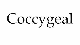 How to Pronounce Coccygeal [upl. by Nero]