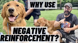 WHY Train With NEGATIVE REINFORCEMENT SIMPLE Breakdown amp Demo [upl. by Nele]