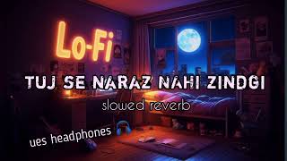 Tuj se naraz NAHI zindgi new slowed reverb and lofi song [upl. by Hailahk]