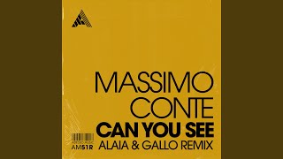 Can You See Alaia amp Gallo Remix [upl. by Omor]