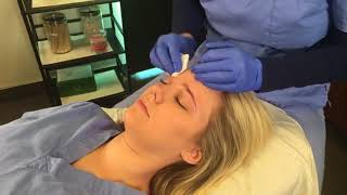 Eyebrow Shaping With Esthetician Anne Marie Johnson [upl. by Aifas]