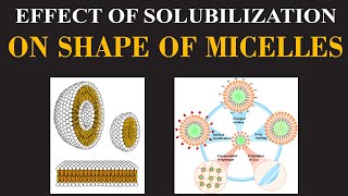 Effect of Solubilization on Shape of Micelles  Chemistry Insights By Dr Usman  ChemClarity [upl. by Oiratno]