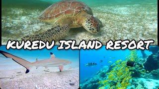 KUREDU RESORT  MALDIVES  GOPRO  SNORKELING [upl. by Tedmann]