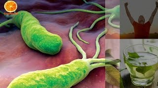 The Strongest Natural Home Remedy for H Pylori [upl. by Anelleh808]