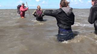 waddenzeehike end this is what you get p [upl. by Ahsiena856]