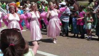 St Patricks Day Parade in Jackson [upl. by Ruthven]