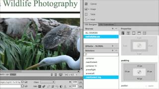 How to Add Padding to an Image in Dreamweaver [upl. by Zelikow377]