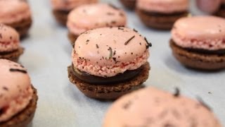 100 Macarons  750g de Gourmandises [upl. by Nedarb]