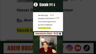 ÖZDEBİR TYT 3  Y3224  SÖZCÜK TÜRLERİ özdebir [upl. by Namsaj319]