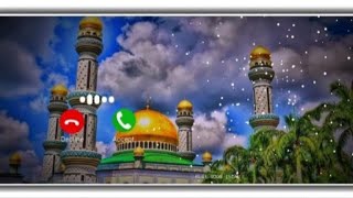 Duniya Wale To Dard Dete Hain Ringtone  New Naat Ringtone  Trending Ringtone [upl. by Fast]