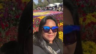 Canberra Floriade subscribe shortvideo howlongdoesittaketolearnmandarin [upl. by Enram]