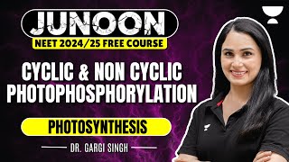 Photosynthesis  Cyclic and Non Cyclic Photophosphorylation  NEET 2024  Dr Gargi Singh [upl. by Elysee]