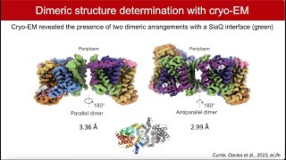 TRAPped in an elevator aminosugar uptake and utilisation by bacteria [upl. by Faydra]