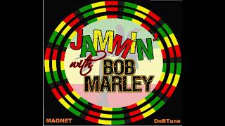 Bob Marley Jammin [upl. by Paley]