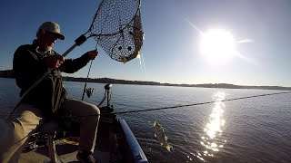 Fall White Perch The Easiest Way To Catch Them Lake Monticello [upl. by Thorbert953]