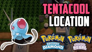 How to Catch Tentacool  Pokémon Brilliant Diamond amp Shining Pearl [upl. by Leirej]