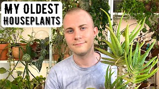 The Oldest Houseplants In My Collection [upl. by Refitsirhc36]