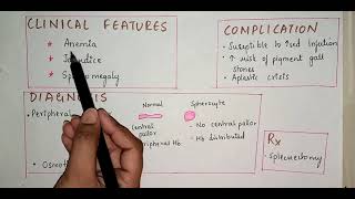 Hereditary Spherocytosis  Hemolytic Anemia [upl. by Timms]