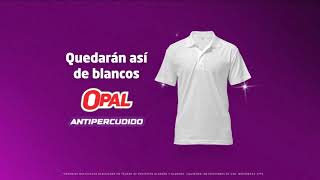 Nuevo detergente Opal Antipercudido [upl. by Kimber]