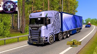 Euro Truck Simulator 2  Realistic Truck Driving  Switzerland Driving [upl. by Dex]