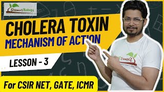 Cholera toxin mode of action  How Cholera toxin works [upl. by Ladd130]