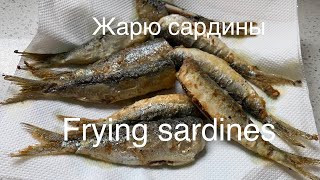 Grilled fresh sardines and anchovies Как жарю свежые сардины и кильку [upl. by Algy]