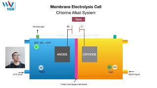 Principal of Membrane electrolysis system Electrochlorination Chlorine Alkali System [upl. by Teufert144]