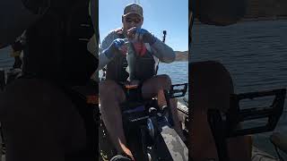 Kayak bass fishing kayakbassfishing kayakfishing largemouthbass bassfishing [upl. by Yesllek514]