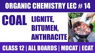 LIGNITE BITUMEN ANTHRACITE COAL FORMATION  ORGANIC CHEMISTRY FROM ZERO  EASY EXPLAINED  1112 [upl. by Cl]