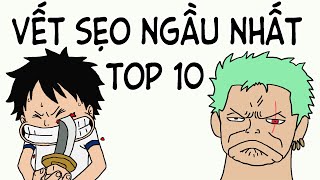 Top 10 Vết Sẹo Ngầu Nhất One Piece [upl. by Adnohsat946]