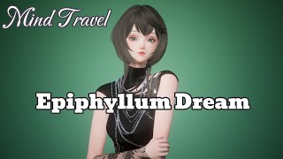 Bộ Epiphyllum Dream  Mind Travel  Life Makeover Sing [upl. by Verger]