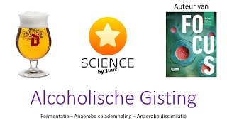 alcoholische gisting  anaerobe dissimilatie [upl. by Enamrahs]