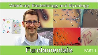 Fundamentals of Microbiology  Part 1 [upl. by Kcire]