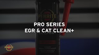 Penrite Pro Series EGR amp CAT Clean [upl. by Henleigh]