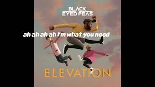 BLACK EYED PEAS  GUARANTEE Lyrics VIDEO [upl. by Concha170]