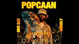 POPCAAN MIXTAPE CLEAN 2024 UNRULY 876 GUD  DJ WAVEY  CHUBBLE [upl. by Sena]