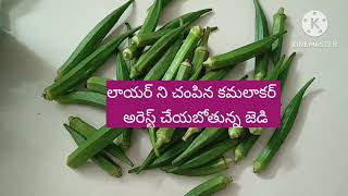 లాయర్ ని చంపిన కమలాకర్ [upl. by Anilrahc]